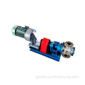 Nyp High Viscosity Gear Pump Viking pump high viscosity asphalt pump Factory